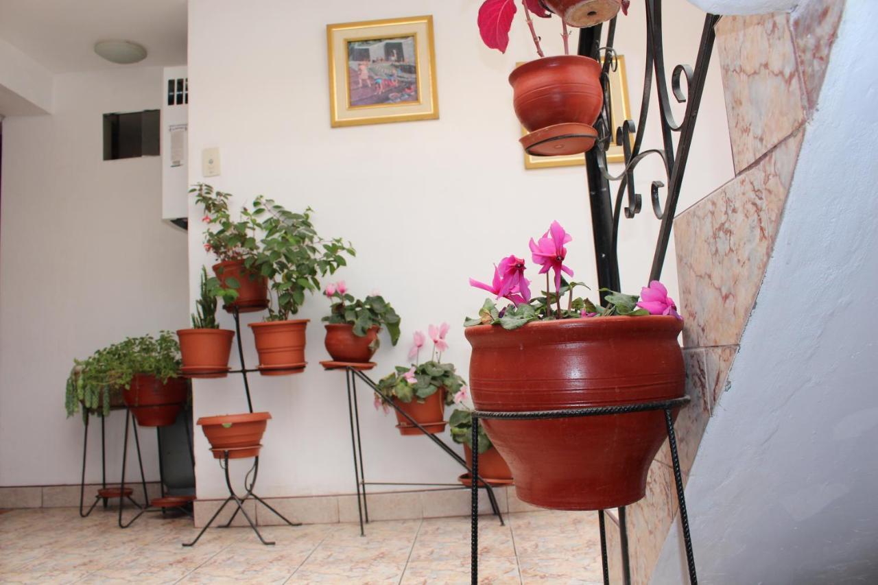Kennedy Guest House Cusco Bagian luar foto